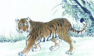 英雄豪杰指什么生肖