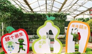 寿光蔬菜博览会门票