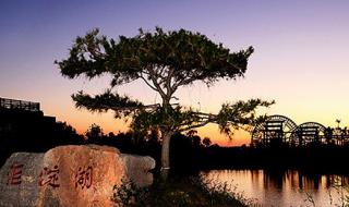 寿光蔬菜博览会门票